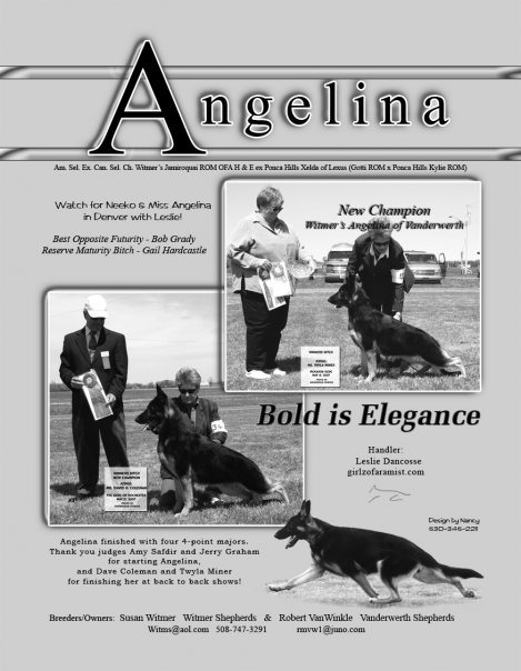Witmer's Angelina of Vanderwerth GSD Review Ad